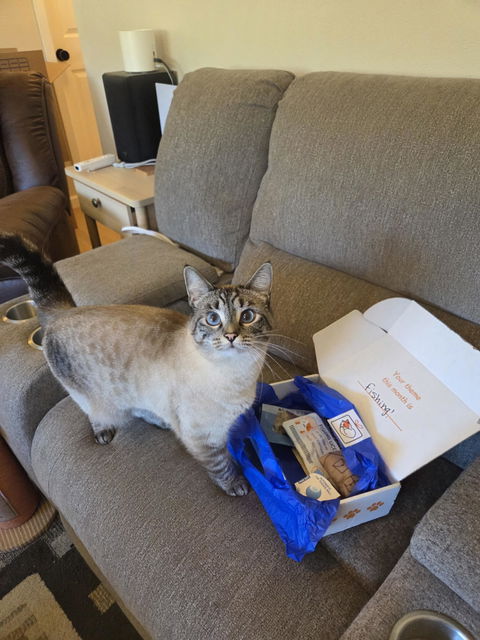 catbox