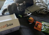 Tara F. review photo
