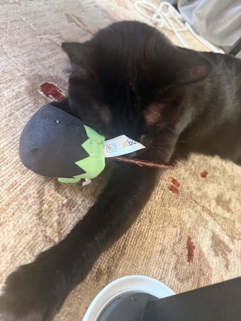 catbox