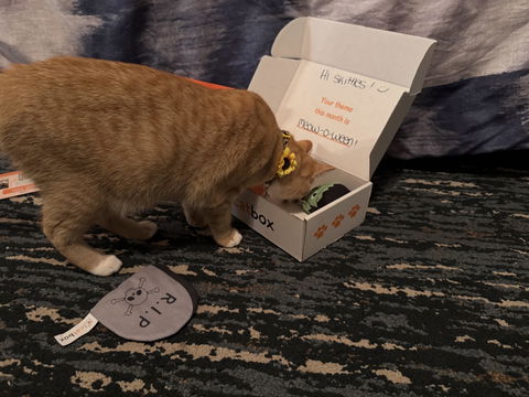 catbox