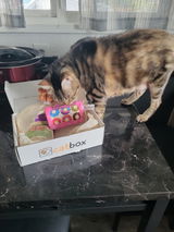 Debrah 2 review photo