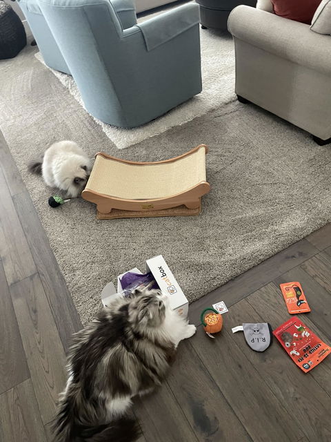 catbox