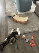 Peanut and Birdie Preston review photo