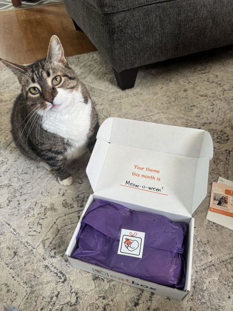 catbox