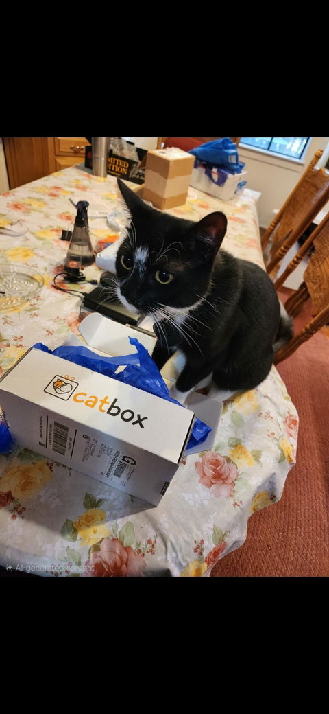 catbox