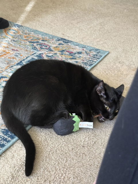 catbox