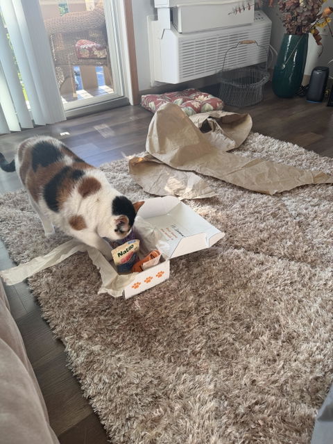 catbox