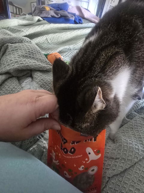 catbox