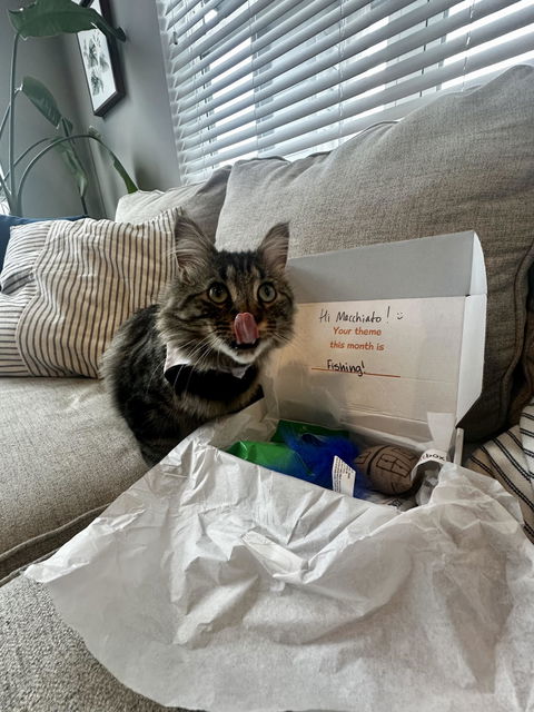 catbox