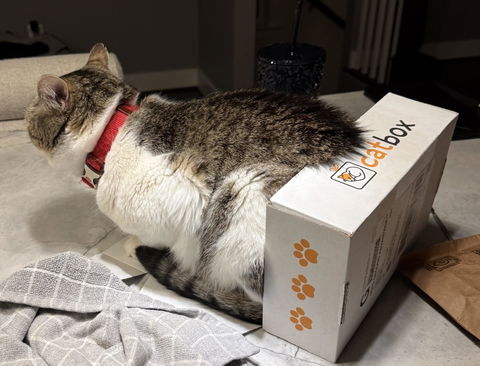 catbox