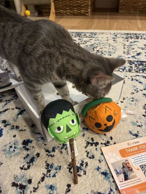 catbox