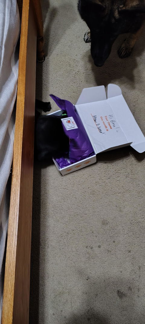 catbox