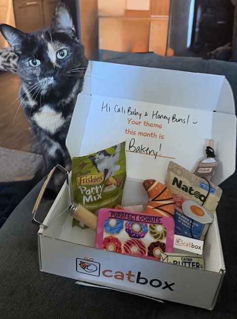 catbox