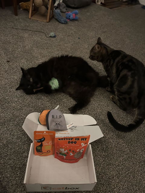 catbox