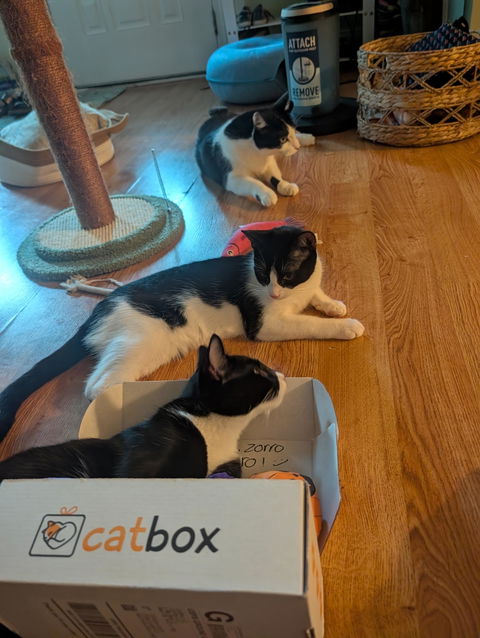 catbox