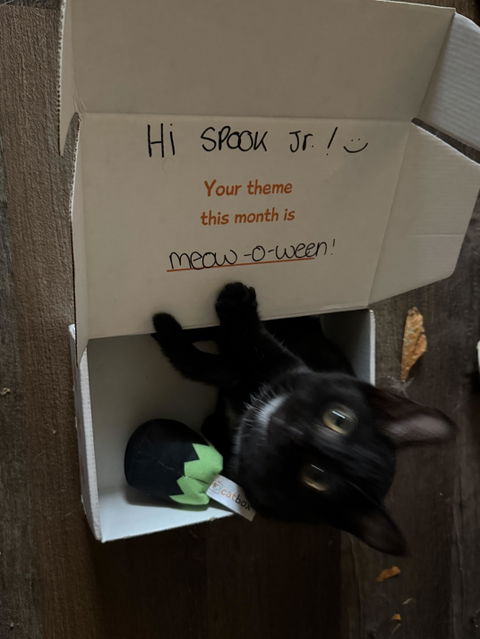 catbox