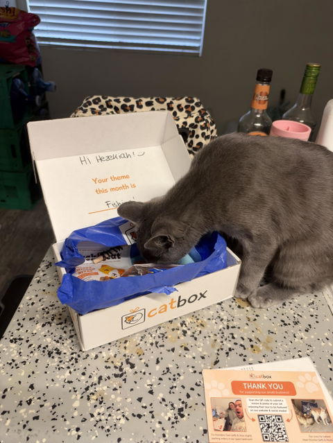 catbox