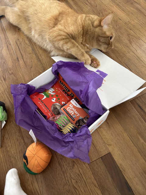 catbox