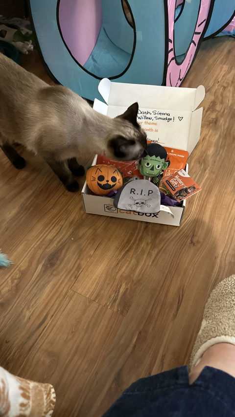 catbox