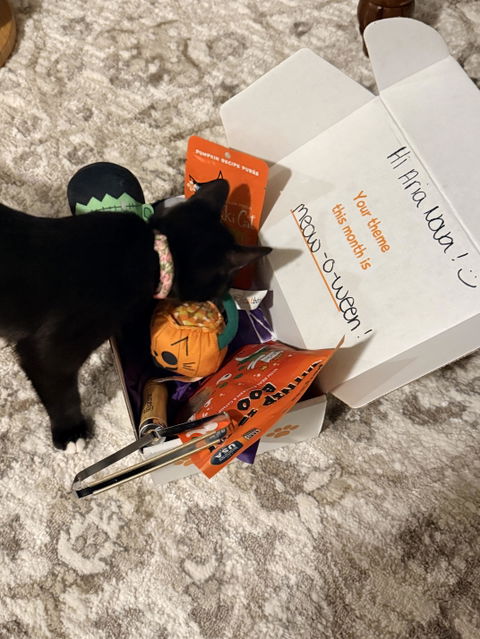 catbox