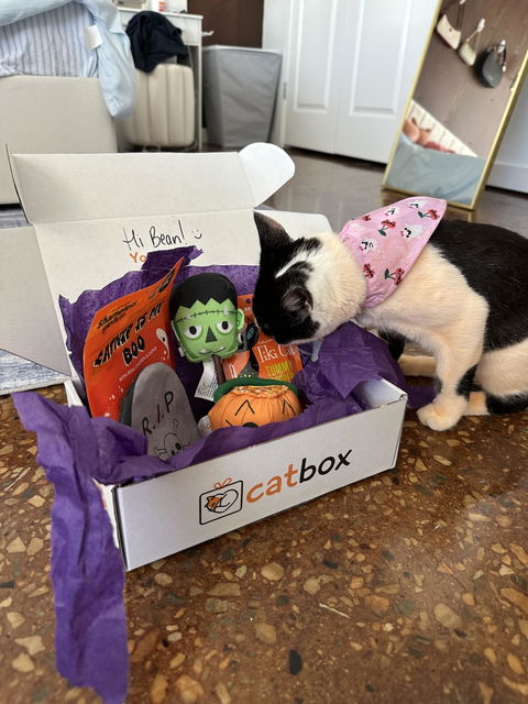 catbox