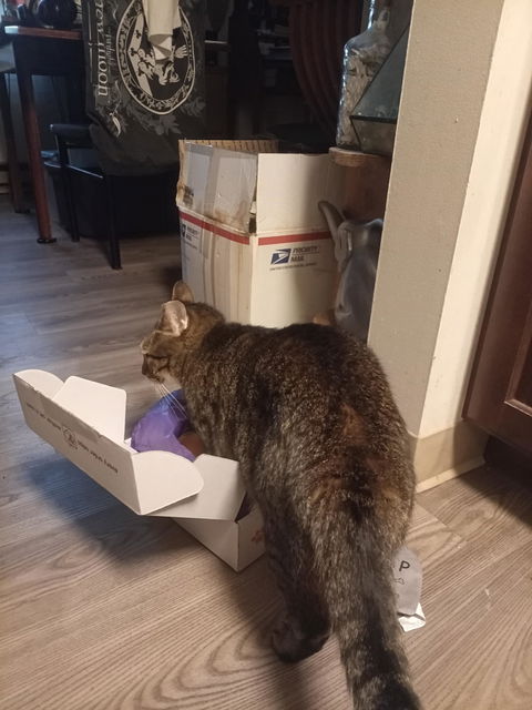 catbox