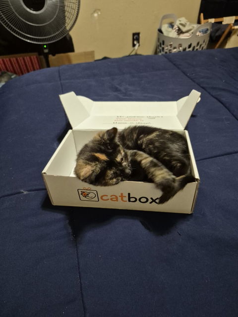 catbox