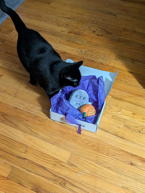 catbox