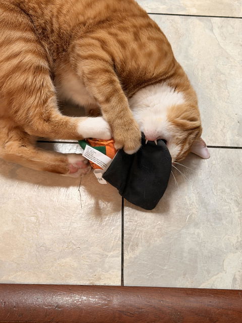catbox