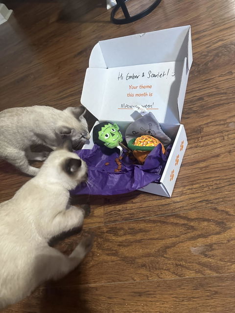 catbox