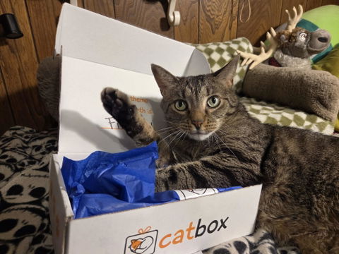 catbox