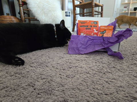 catbox