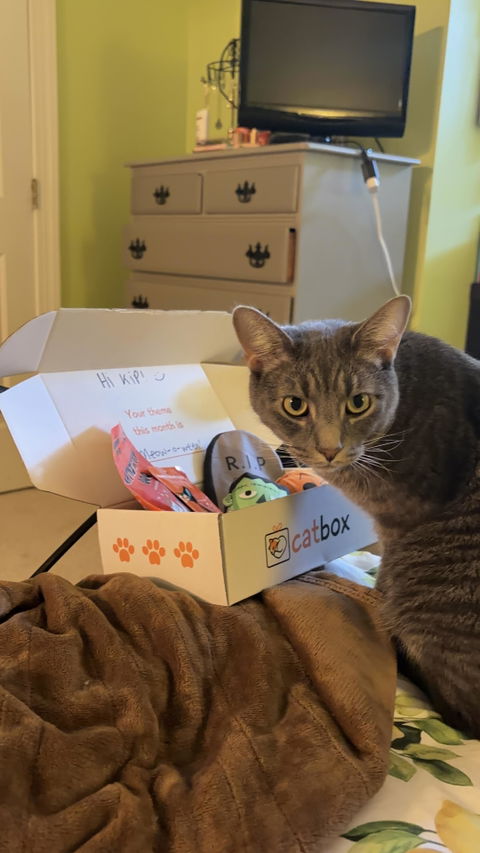 catbox