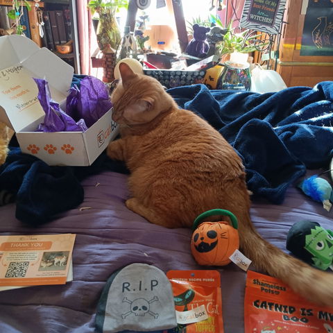 catbox