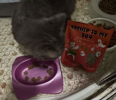 catbox