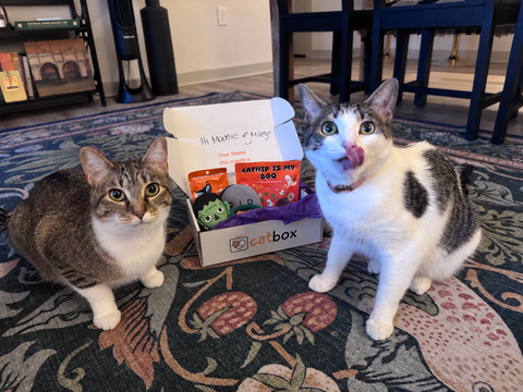 catbox