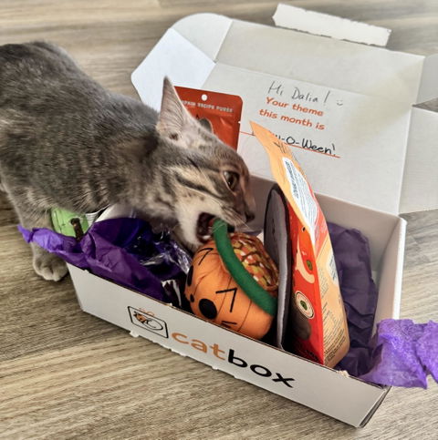 catbox