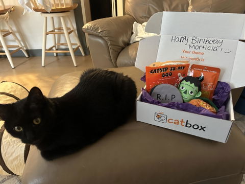 catbox