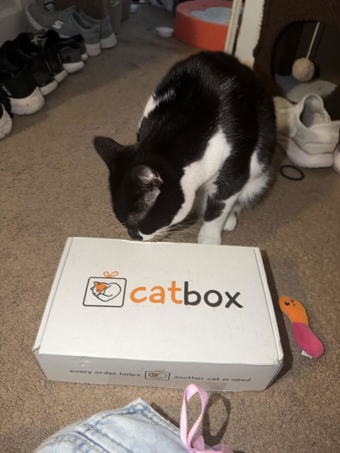 catbox