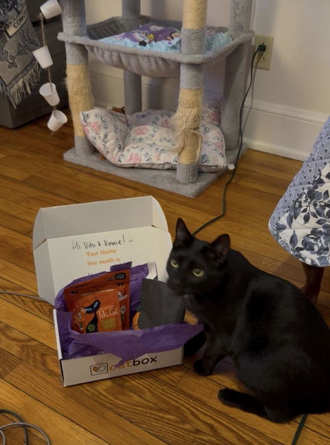 catbox