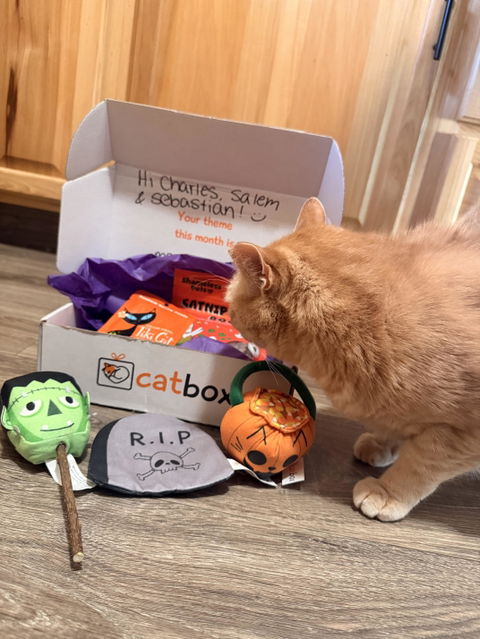 catbox