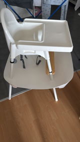 Enrica review photo