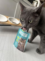 Giulia review photo