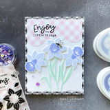 Emily Leiphart review photo