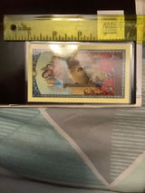 Yvette review photo