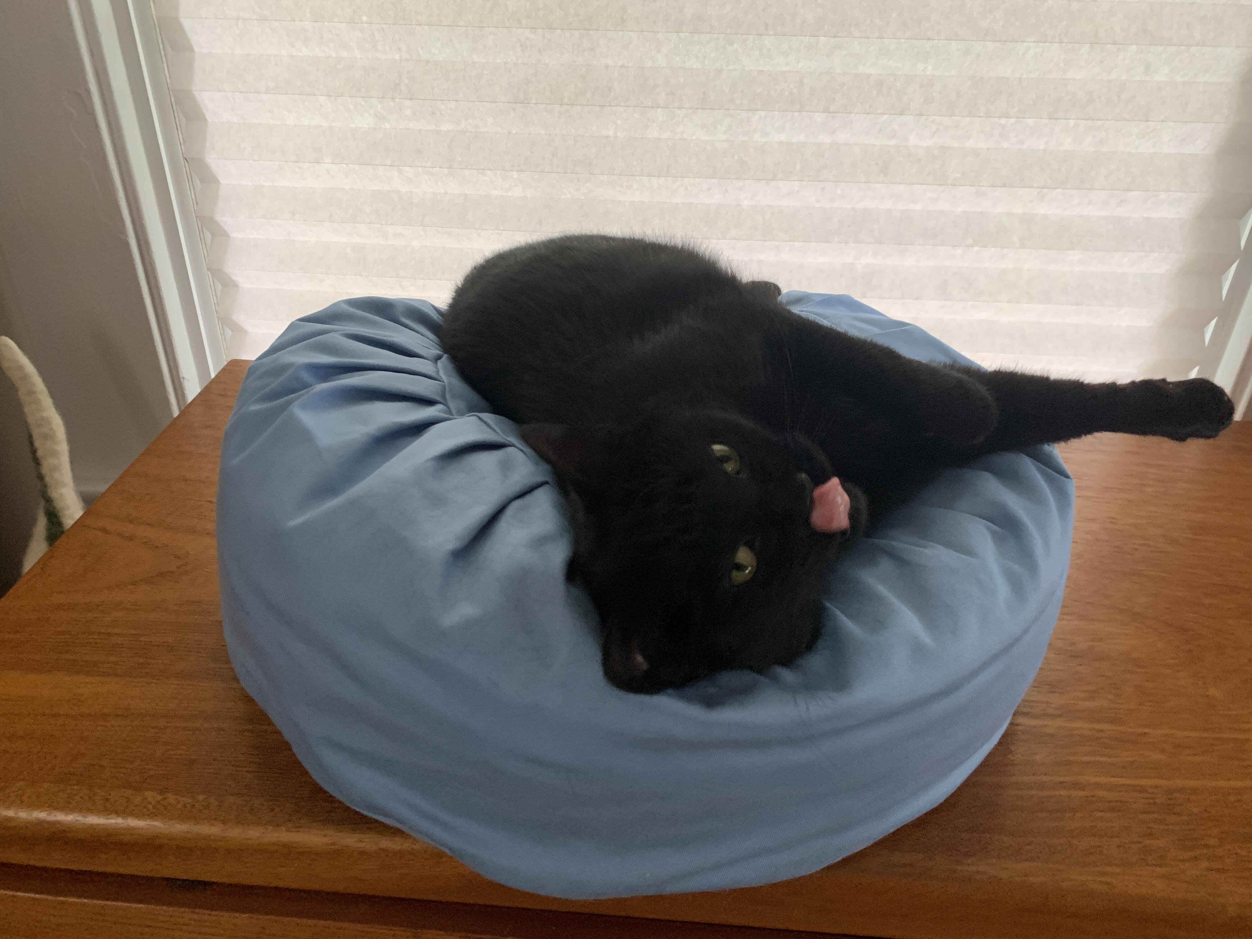 Micah review photo