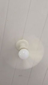 Walbert review photo