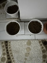 Sakine Çetin review photo