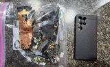 Darwin review photo
