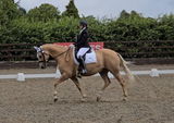 Jayne review photo